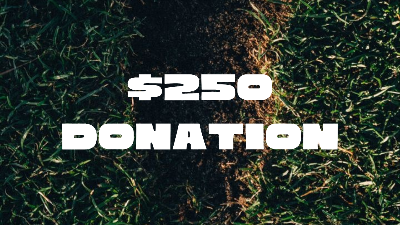 Donation